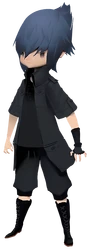 Noctis Lucis Caelum