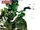 Metal Gear Solid 3: Snake Eater