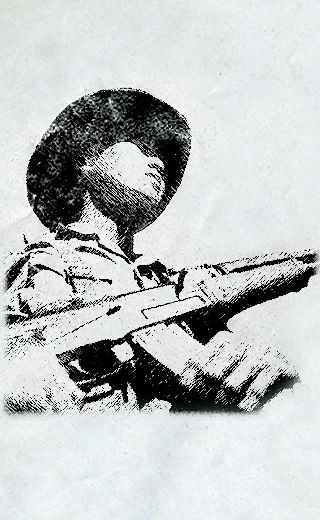 NVA01