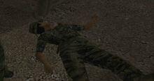 Nguen dead