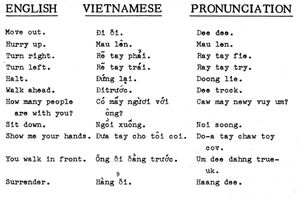 Vietnamese-language