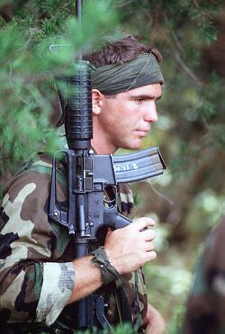 CAR-15 | Vietnam War | Fandom