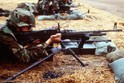 M60 machine gun DM-ST-90-01312