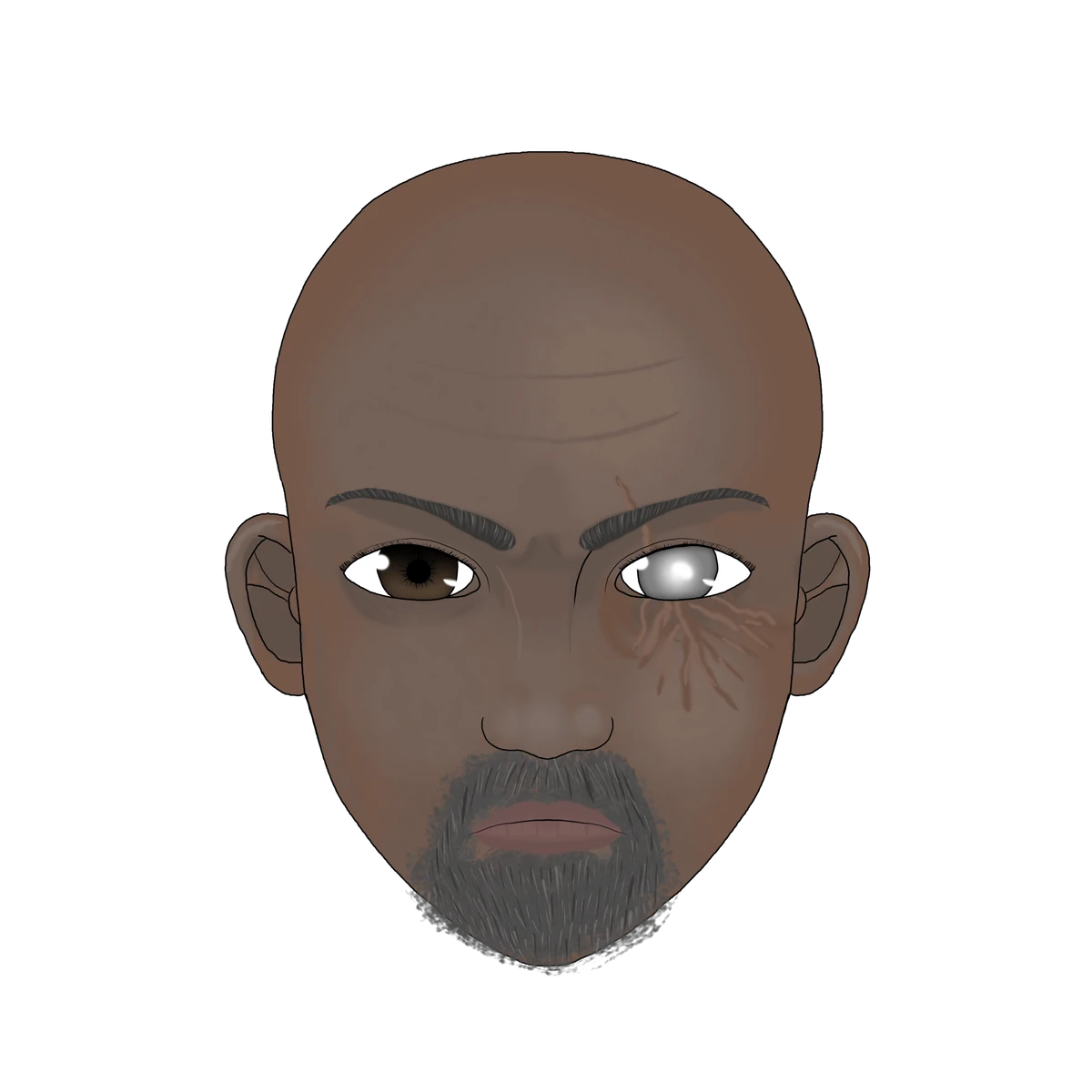 Aldis Vikaya Wiki Fandom