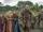 Vikings Wiki