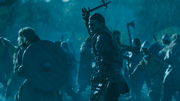 Ivar 6x20
