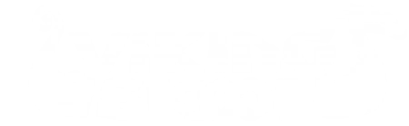Vikingskool Wiki