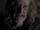 Stender