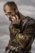 Floki8