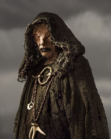 Featured image of post Vikings Wiki Seer james murphy