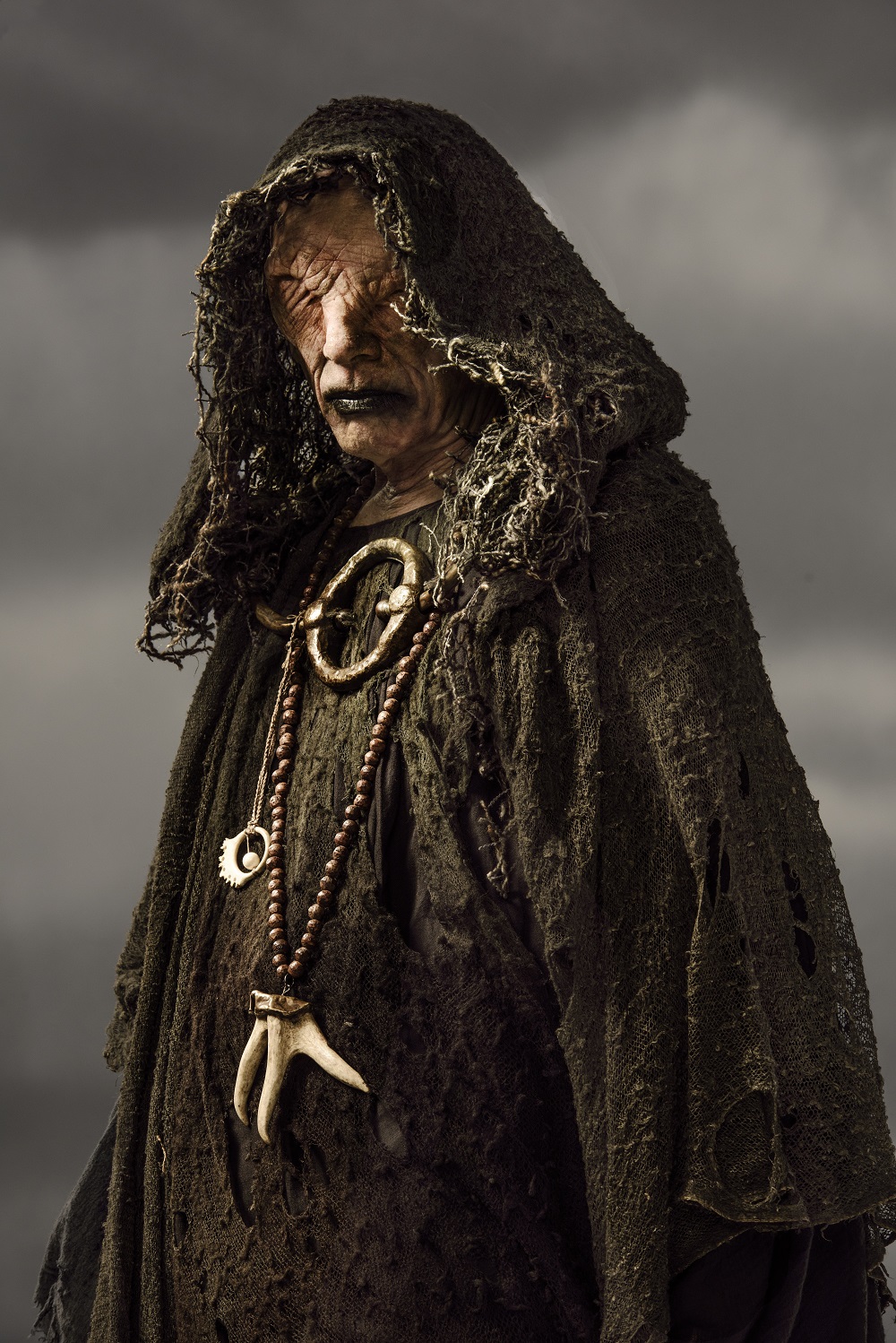 The Seer, Vikings Wiki