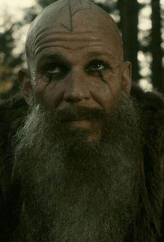 no spoilers] which of Ragnar's sons had the worst beard? : r/vikingstv