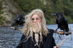 Viking: Odin's Ravens