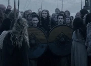 Aslaug and her personal guard carrying her symbol: a yellow field above a blue.