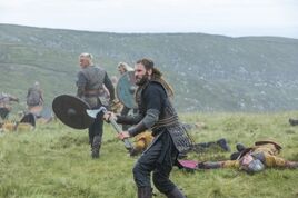 Warrior'sFate
