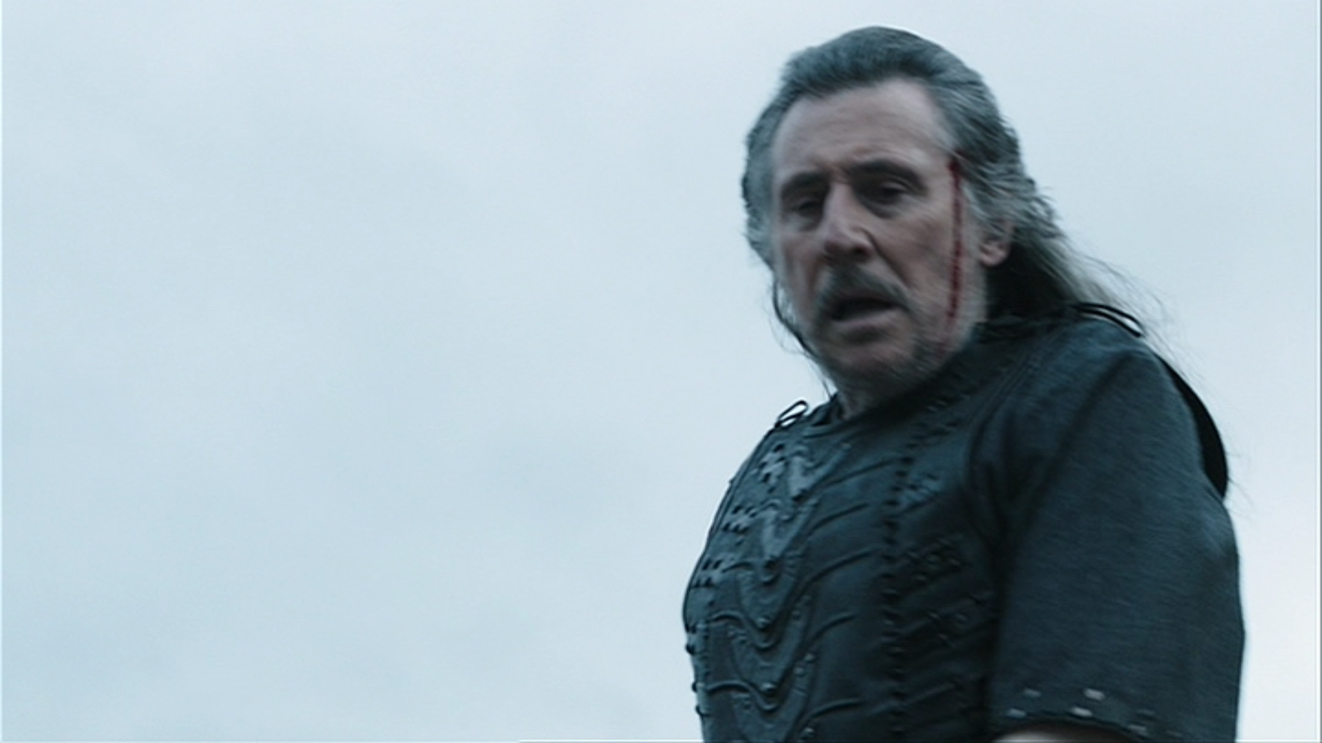 Haraldson Vikings Wiki Fandom