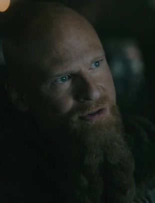 Harald, Vikings Wiki