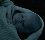 A baby Ivar