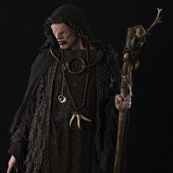 The Seer, Vikings Wiki, FANDOM powered by Wikia