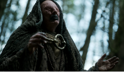 The Seer, Vikings Wiki, FANDOM powered by Wikia