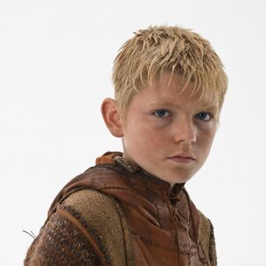 Bjorn Vikings Wiki Fandom