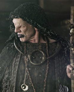 The Seer, Vikings Wiki