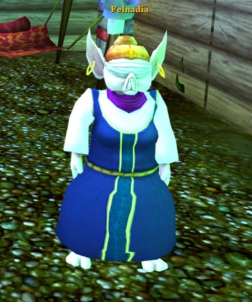 Felnadia Villagers and Heroes of A Mystical Land Wiki Fandom