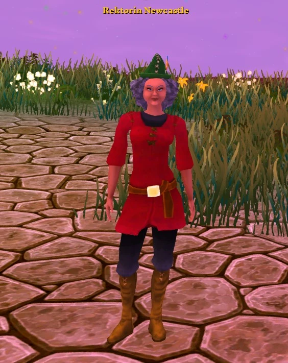 Rektorin Newcastle Villagers and Heroes of A Mystical Land Wiki Fandom