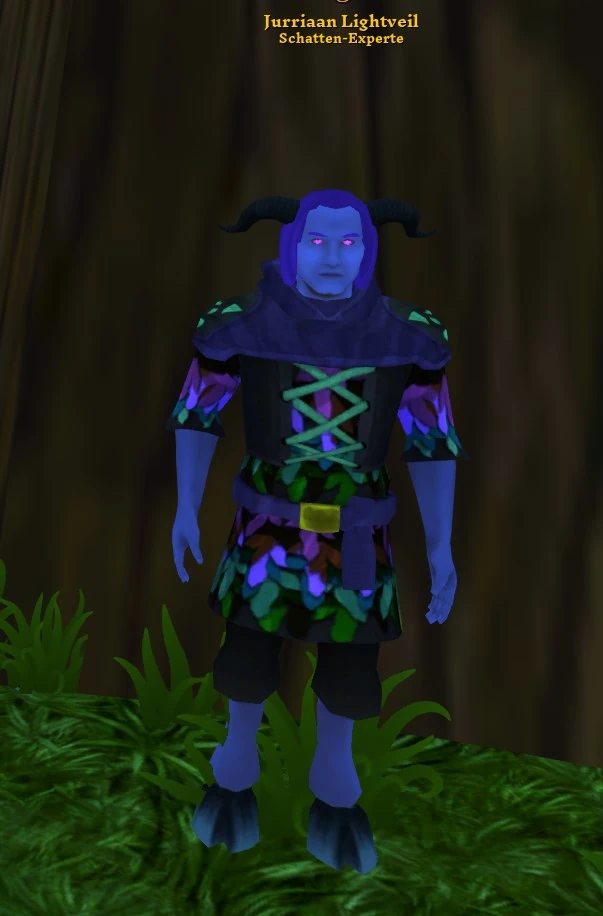 Jurriaan Lightveil Villagers and Heroes of A Mystical Land Wiki Fandom