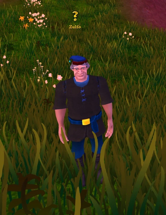 Zulfo | Villagers and Heroes of A Mystical Land Wiki | Fandom