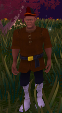 Human - Official Villagers and Heroes Wiki
