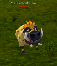 Malevolent Boar