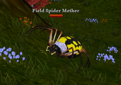 Field Spider Mother
