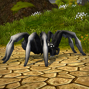 Nightmare Tarantula