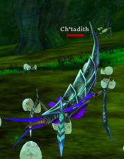 Ch'tadith.png