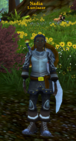 Nadia lumineer.png