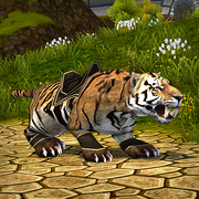 Bengal Tiger