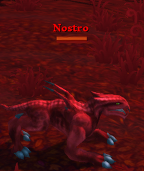 Nostro