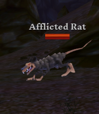 Afflicted Rat
