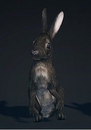 Ash bunny