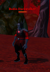 Bodin Darkwalker