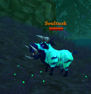 Soultusk quietus