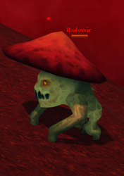 Radomir