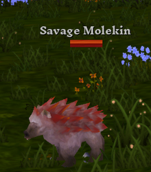 Savage Molekin