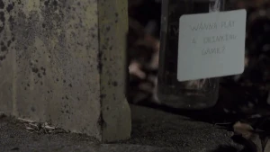 Stacey's heel persona in the film's events