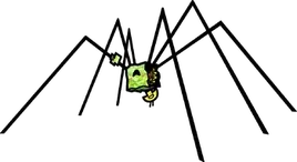 Spider