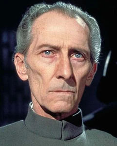 Wilhuff Tarkin.jpg (26 kio)