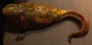 Dart, à l'étape deux de sa transformation.