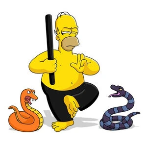 Ninja homer.jpg (18 kio)