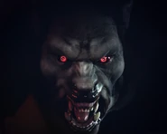 Peter Hale, sous sa forme d'Alpha